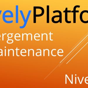 LovelyPlatform host et maintenance 2